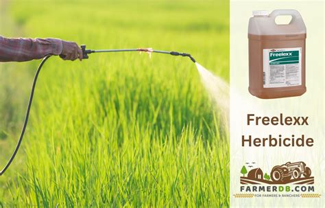 Freelexx herbicide: How to Use It, Mix It, and Which Weeds It Kills